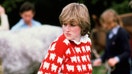 Diana, Princess of Wales (1961 - 1997) wearing &apos;Black sheep&apos; wool jumper by Warm and Wonderful (Muir &amp;amp; Osborne) to Windsor Polo, June 1981. (Photo by Tim Graham Photo Library via Getty Images)