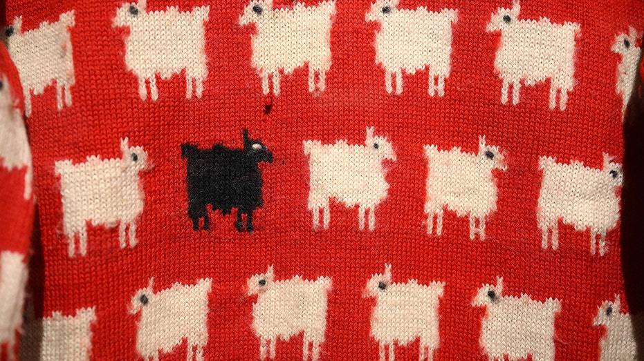 A close-up of Princess Dianas black sheep sweater