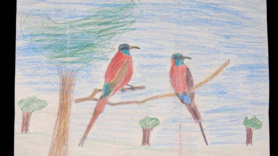 birds sketched by King Charles as a child